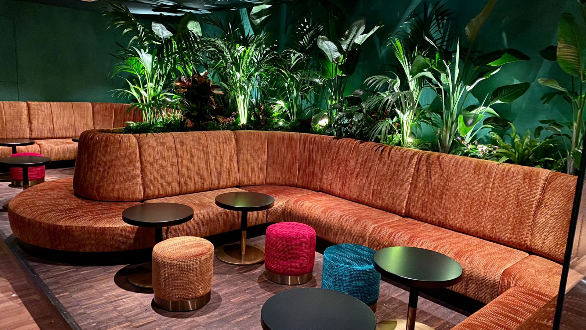 Lounge mit geschwungenem Sofa und üppiger, beleuchteter Pflanzeninsel